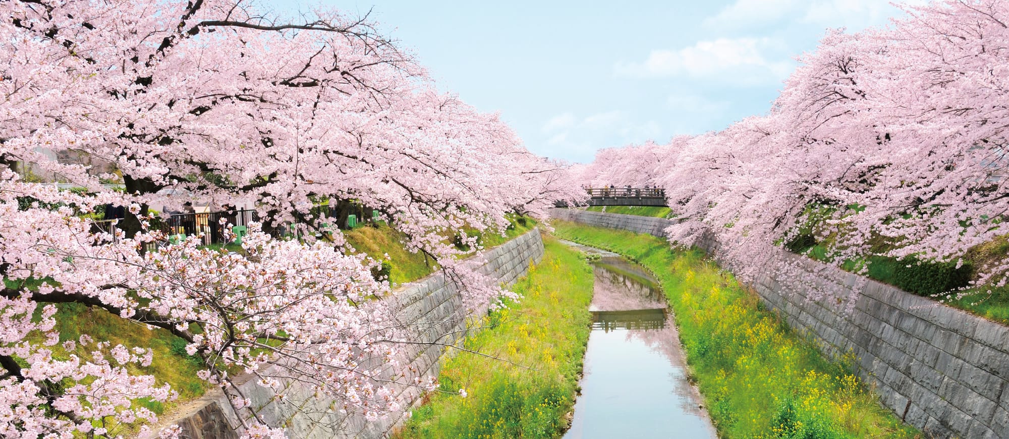 身近に四季を感じる、桜の名所山崎川に近接。