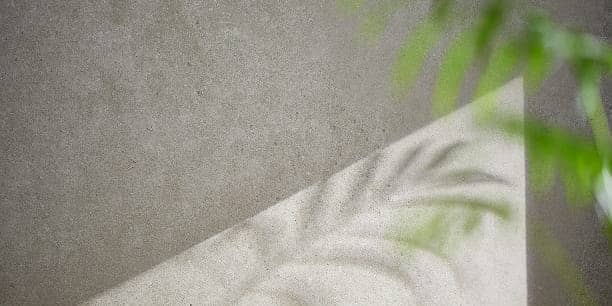 家族との豊かな時間