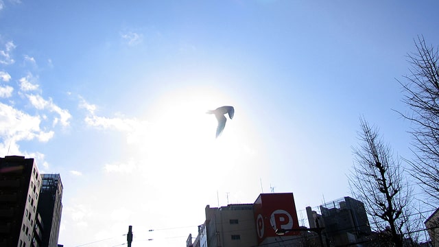 ご購入者様の声・実例