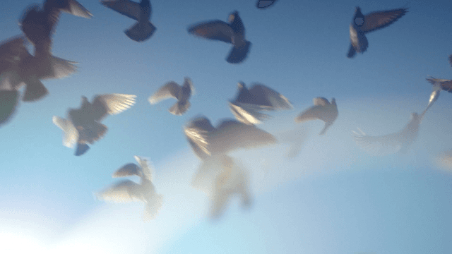 ご購入者様の声・実例