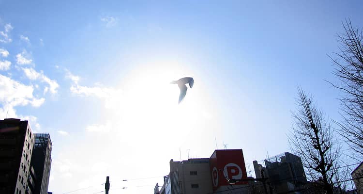 インタビュー記事一覧ページ