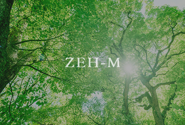 zeh-m