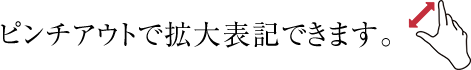 ズーム