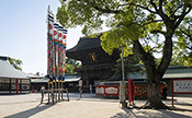 筥崎宮
