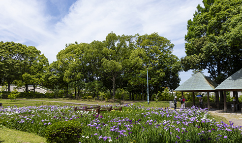 自然風庭園