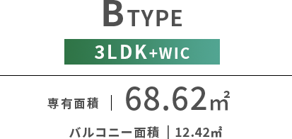 b1type