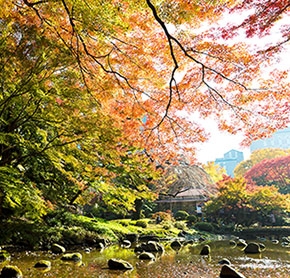 小石川後楽園