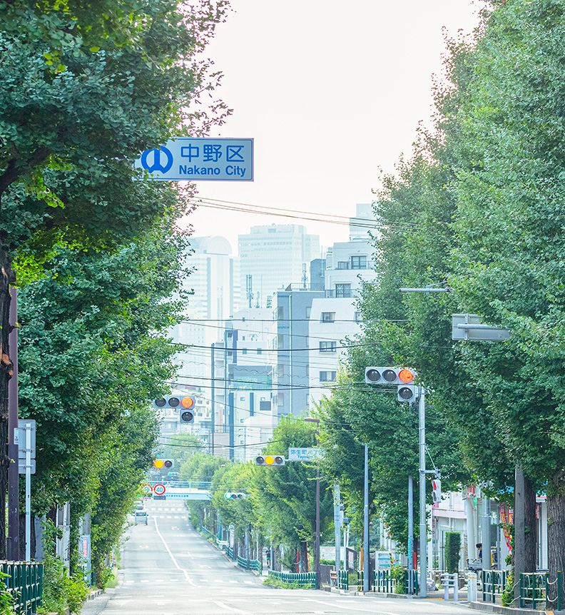 周辺の街並み