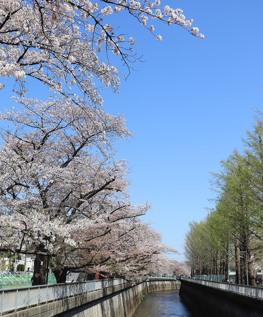 石神井川