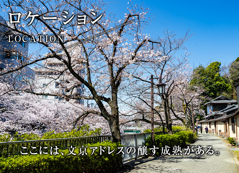 ここには、文京アドレスの醸す成熟がある。