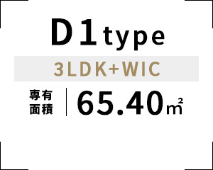 D1type