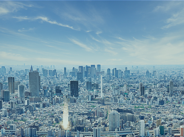 現地周辺航空写真
