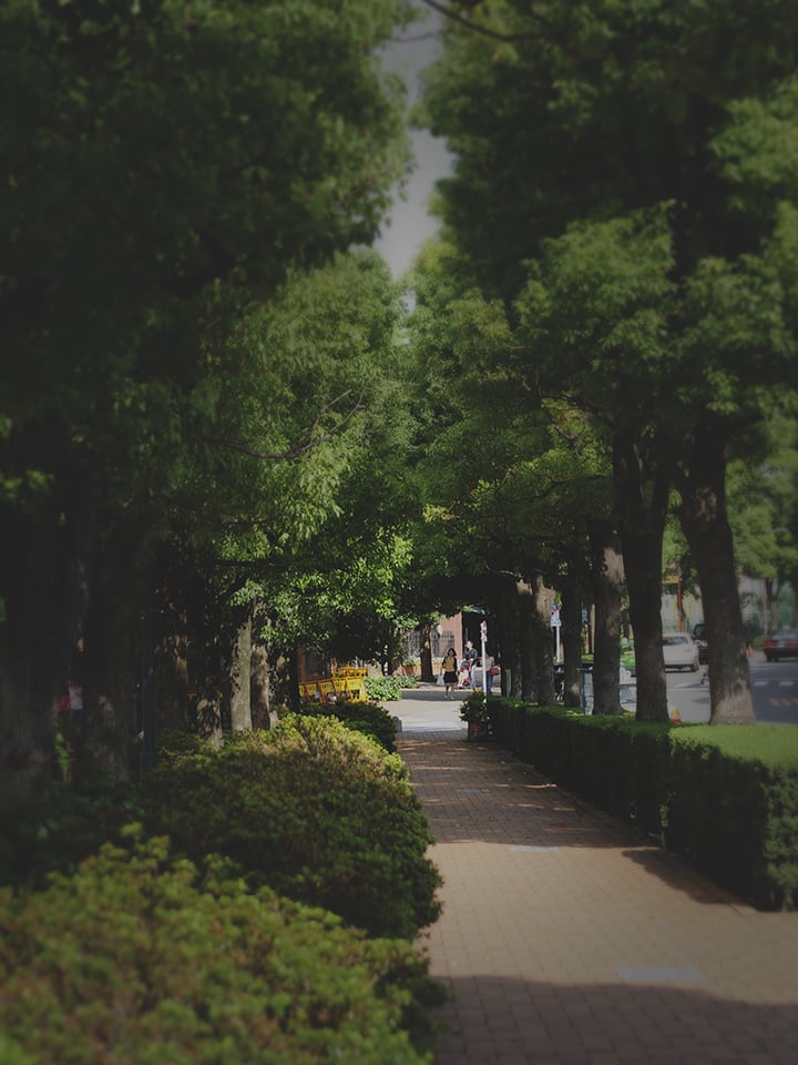 現地周辺の街並み(徒歩5分/約370m)