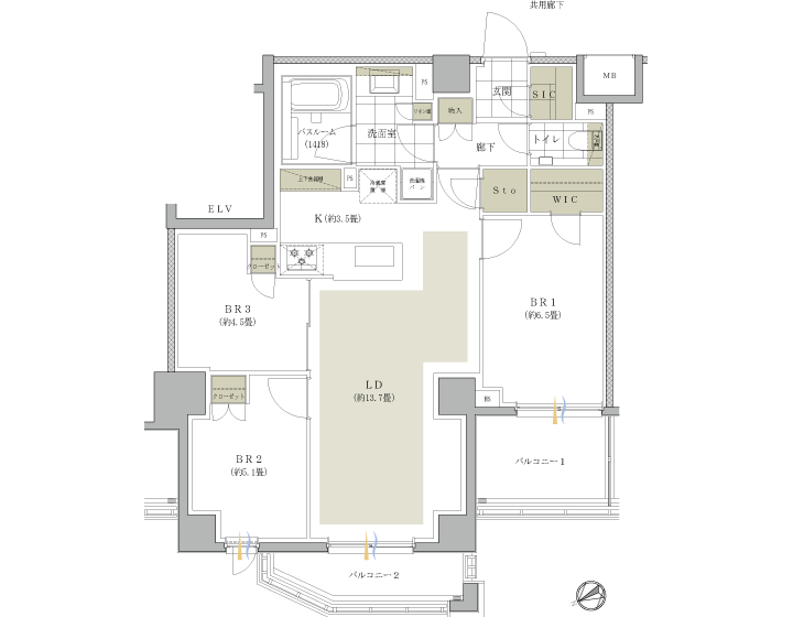 B1 type
