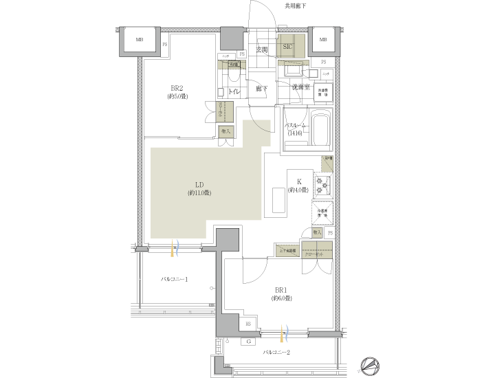 C1 type