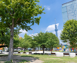 錦糸公園