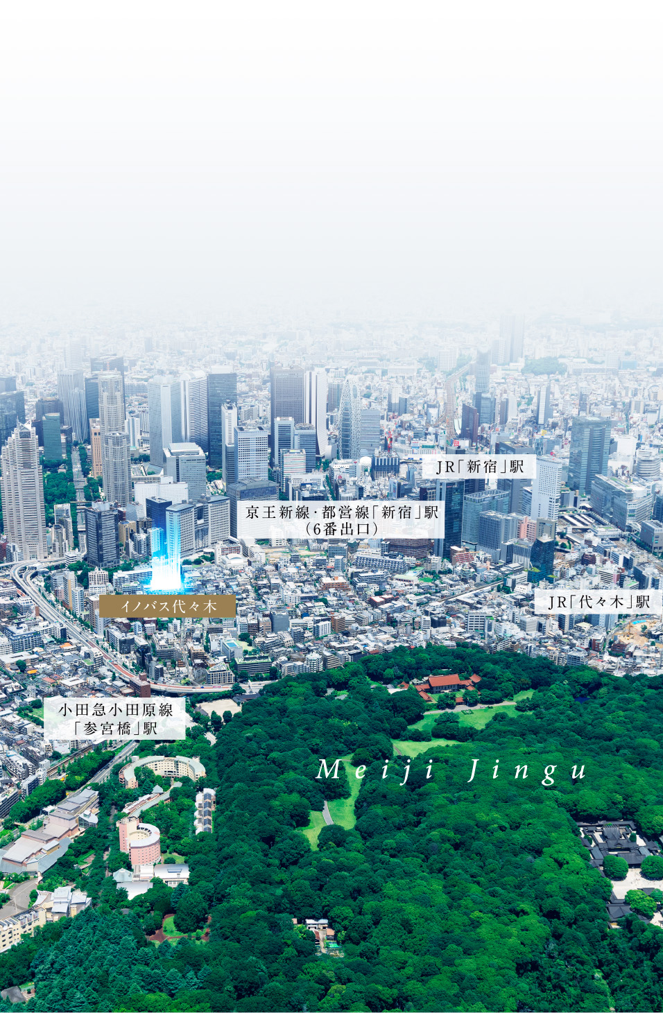 航空写真
