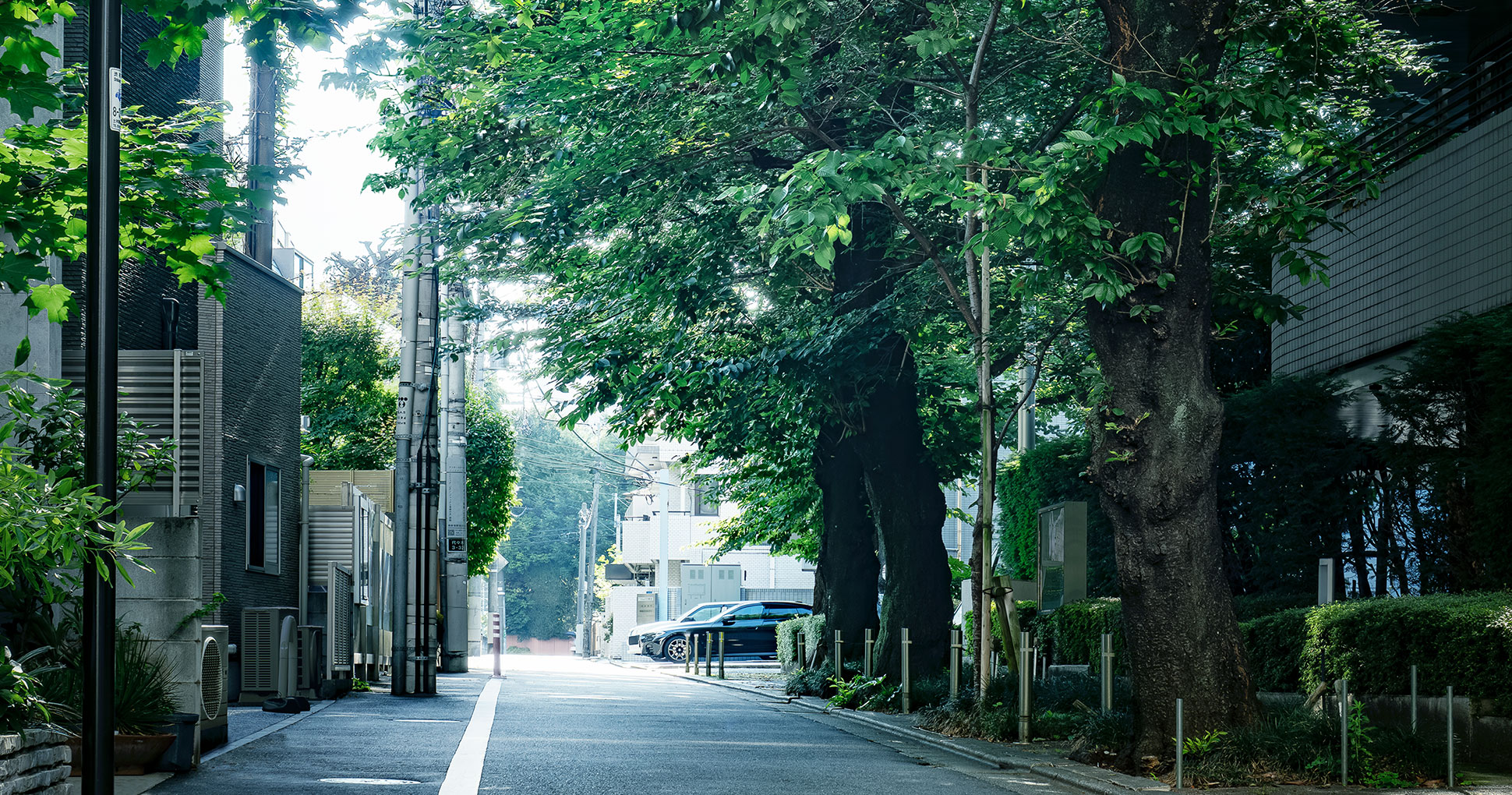 現地周辺の街並(徒歩2分/約150m)