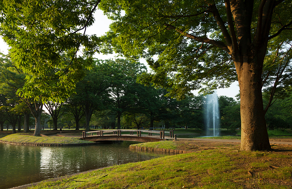 代々木公園