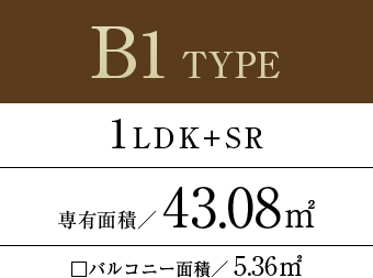 b1type
