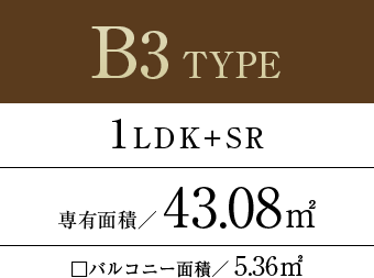 b3type