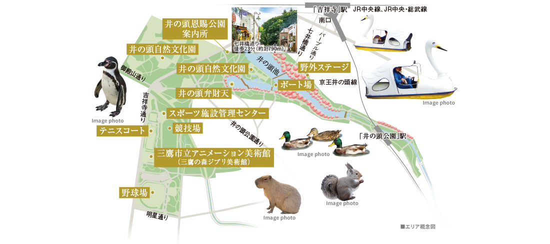 井の頭恩賜公園