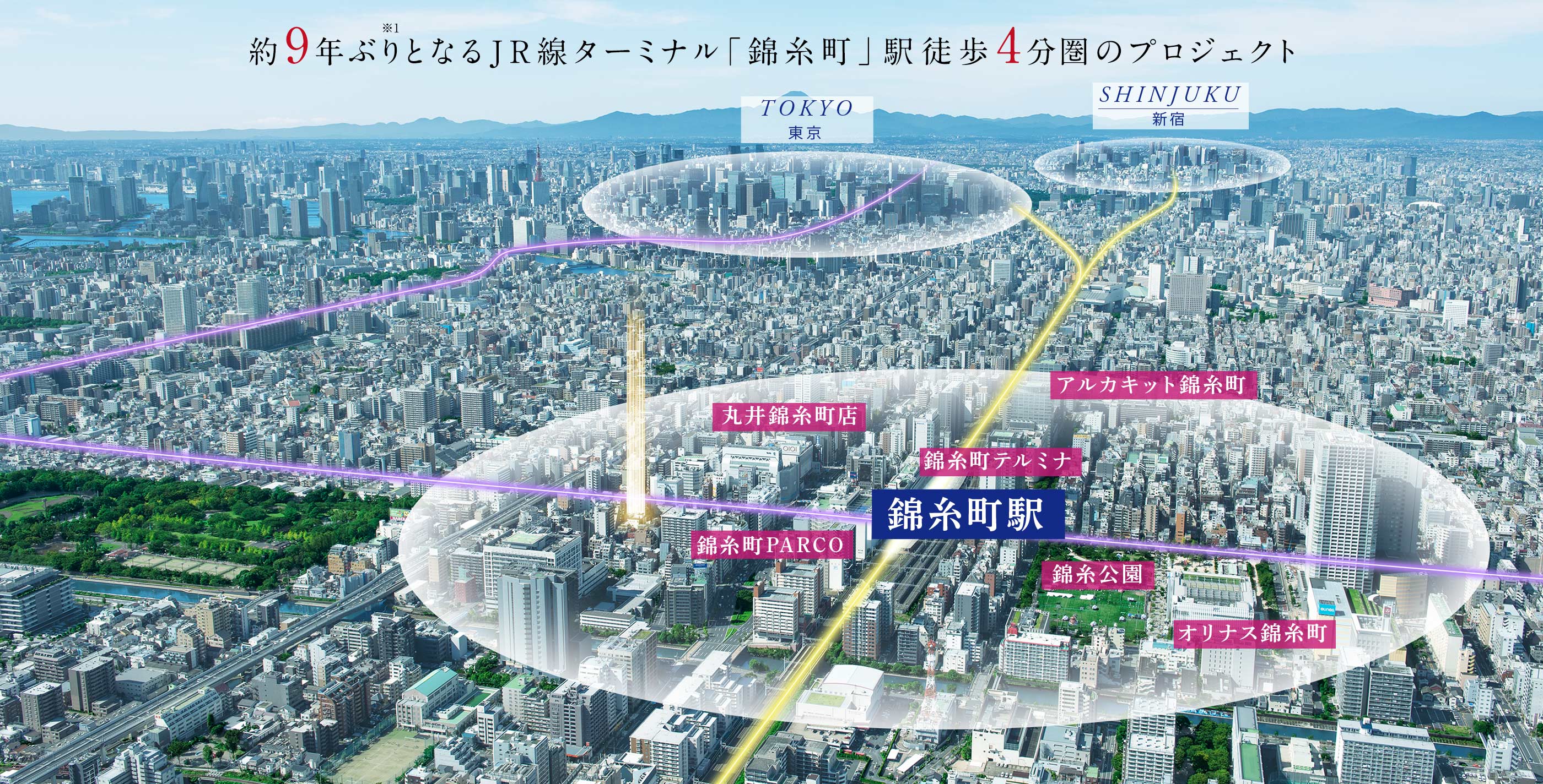 航空写真