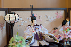 image photo