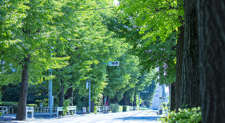 現地周辺の街並み