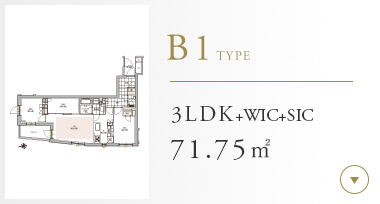 B1type