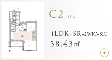 C2type