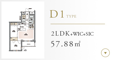 Dtype