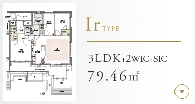 Irtype