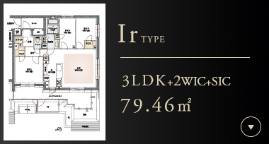Irtype