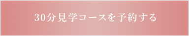 30分見学コース
