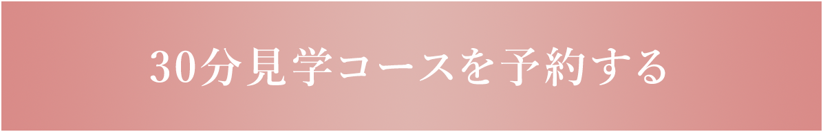 30分見学コース