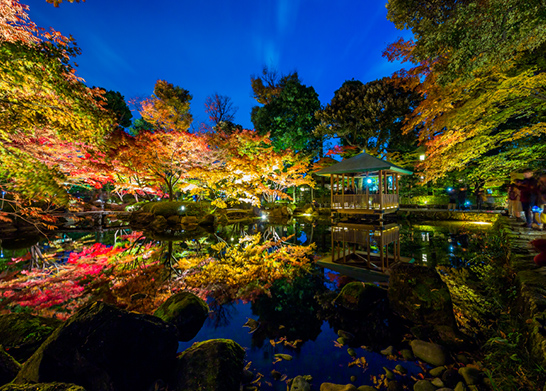 大田黒公園