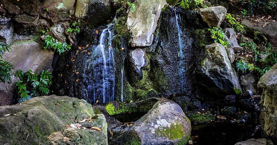 善福寺公園