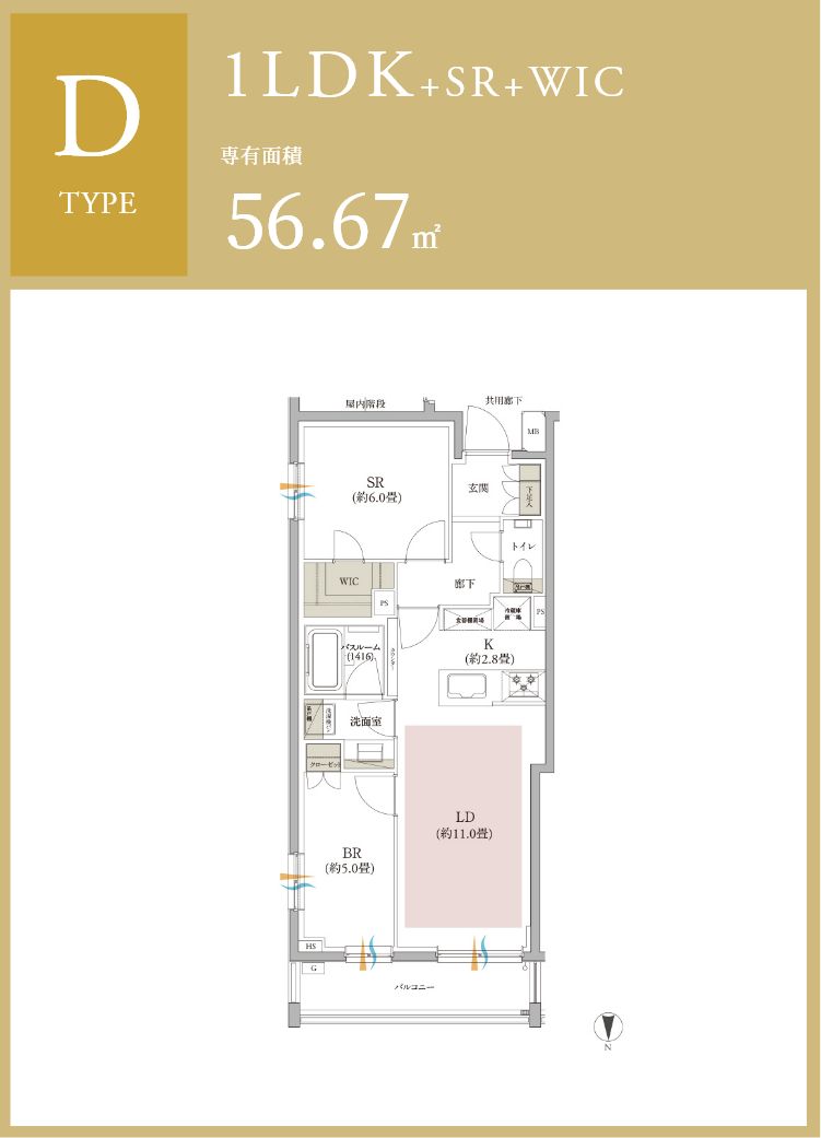 dtype