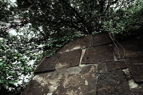 現地周辺（徒歩4分／約320m）