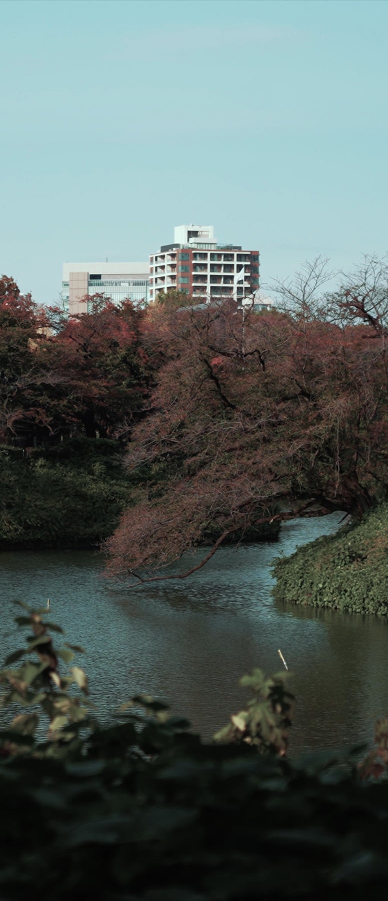 千鳥ヶ淵（徒歩20分／1,600m）