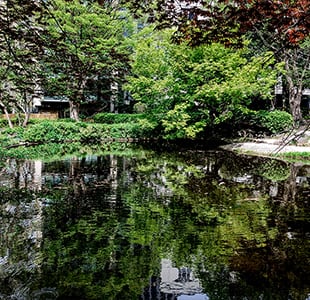 清水谷公園(徒歩10分/約750m)