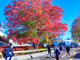 駒沢オリンピック公園