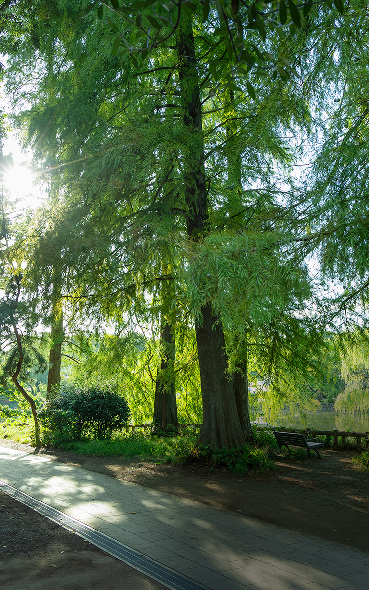 石神井公園（徒歩3分／約170m）