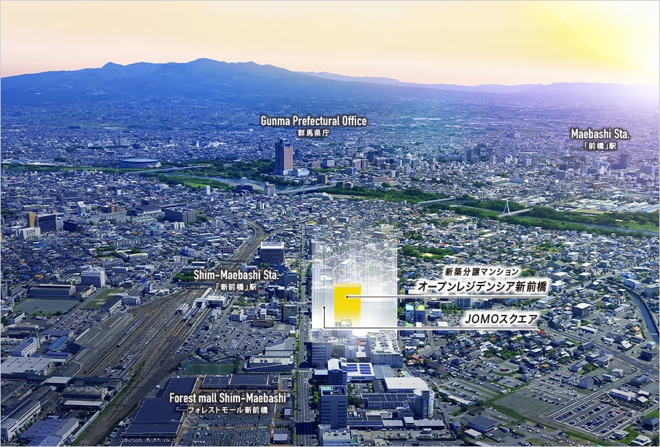 現地周辺航空写真