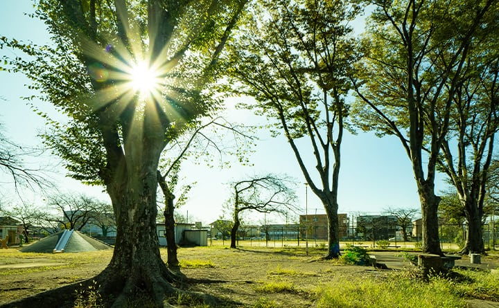 滝川公園/徒歩7分