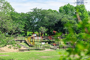 岸根公園