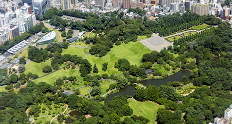 新宿御苑（徒歩16分、約1,230ⅿ）