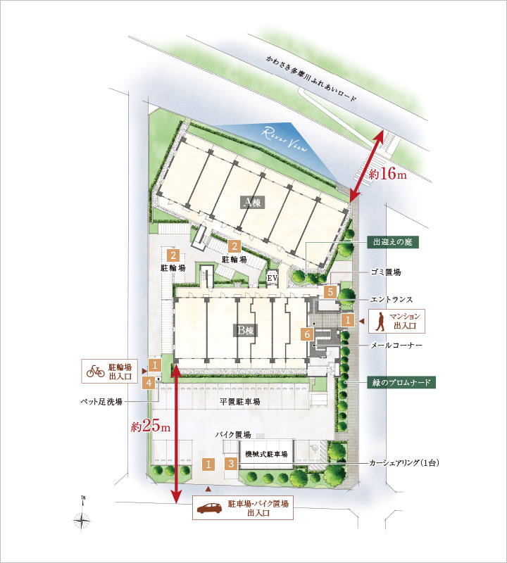 敷地配置・1階平面図イメージイラスト