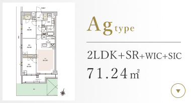 Atype